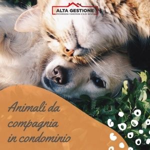 Animali in condominio: diritti e obblighi